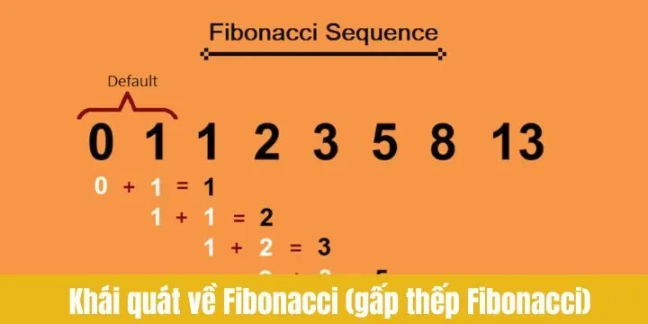 Khái quát về Fibonacci (gấp thếp Fibonacci) cho người mới